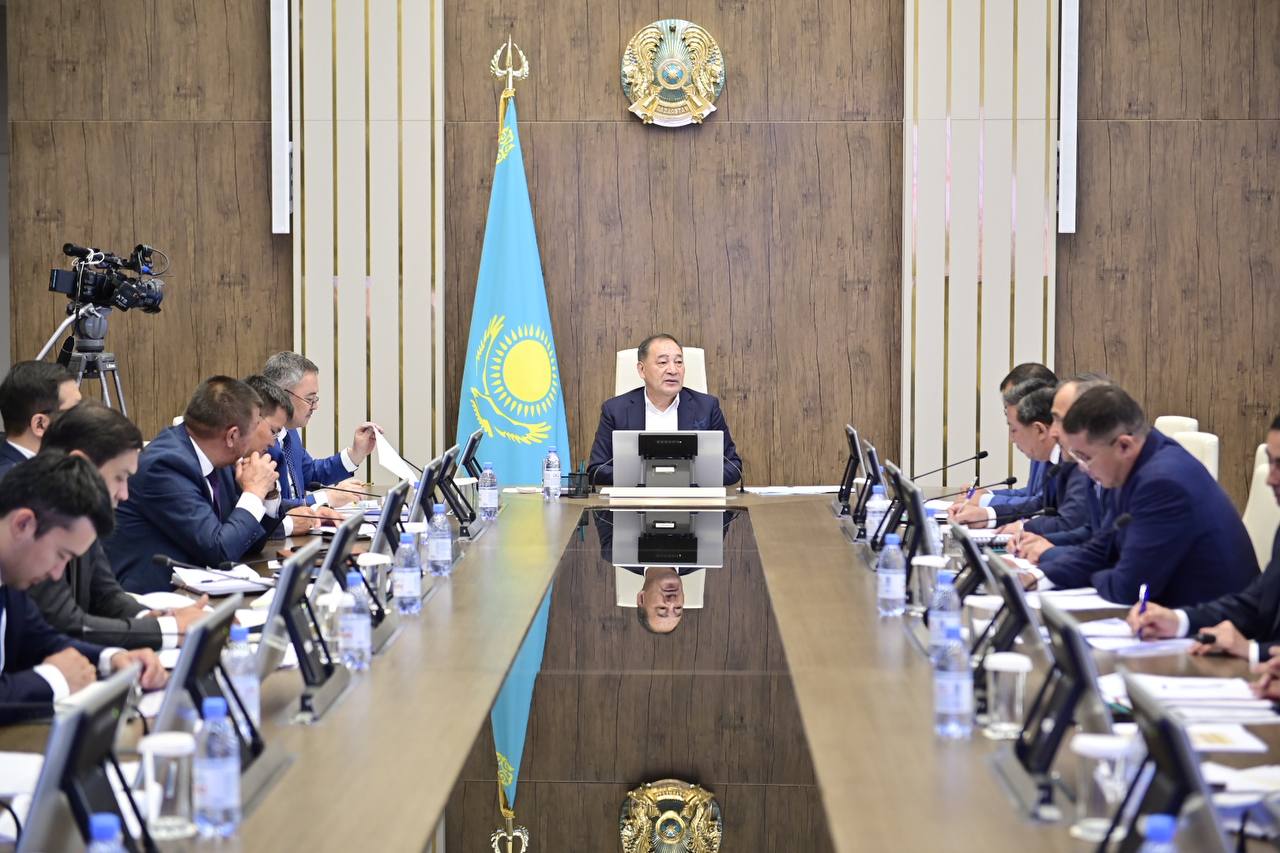 Ералы Тоғжанов мал шаруашылығын дамыту мәселелері жөнінде жиын өткізді