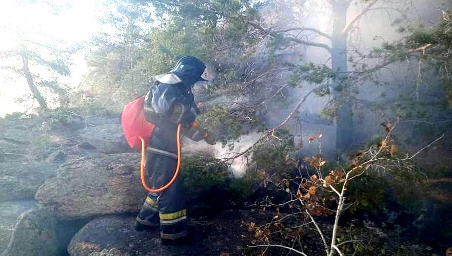 Өрт сөндірушілер Баянауыл ұлттық паркі тау жетегіндегі өртті  ауыздықтап үлгерді   
