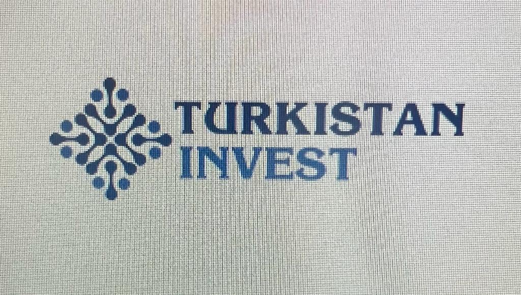 Туркестан Инвест