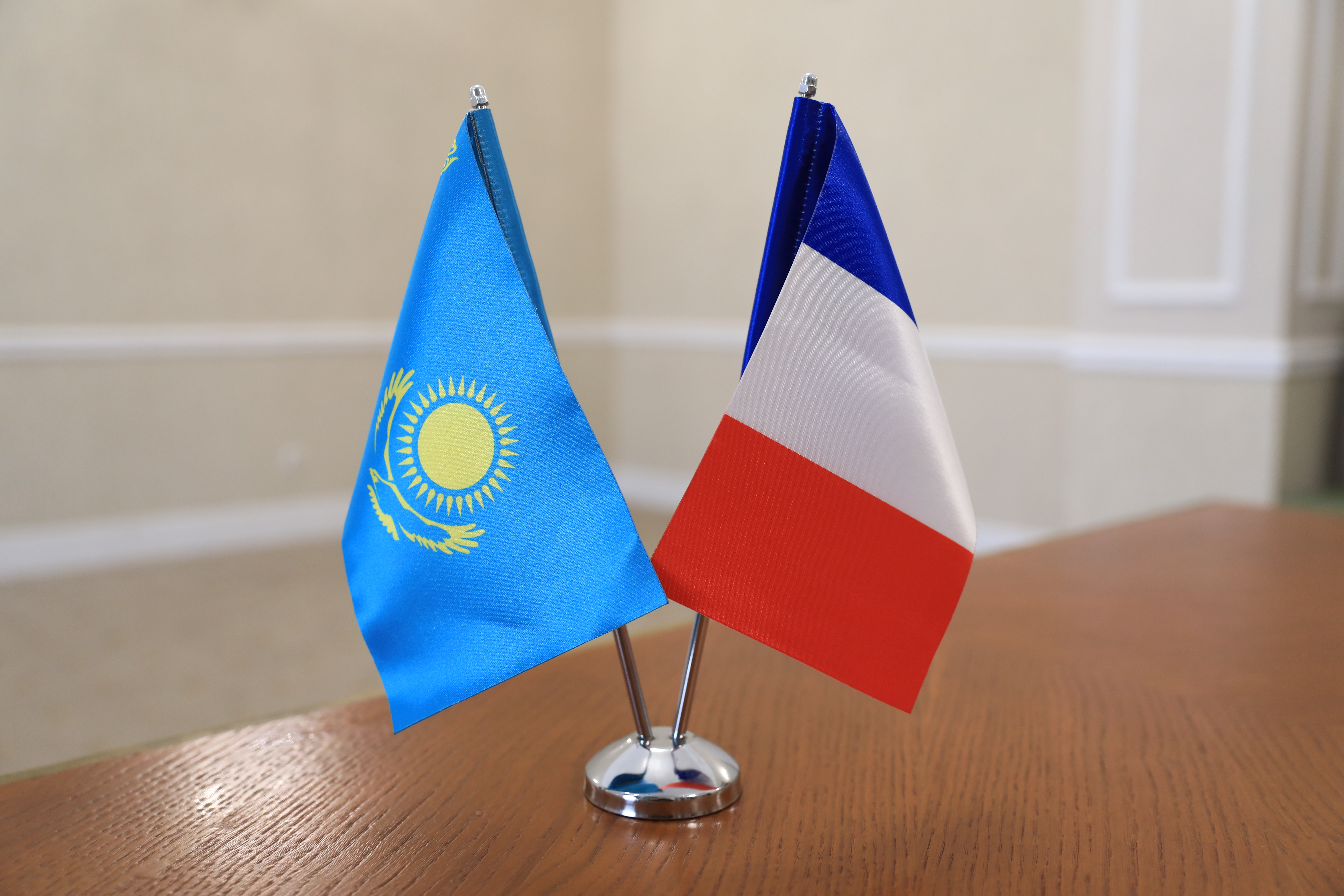 Представители оборонных ведомств Казахстана и Франции обсудили вопросы двустороннего сотрудничества