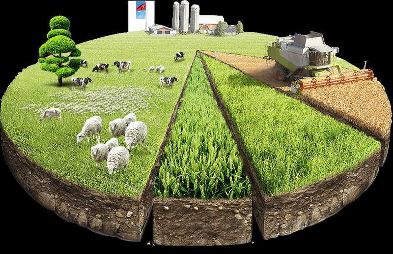 Земельный кадастр