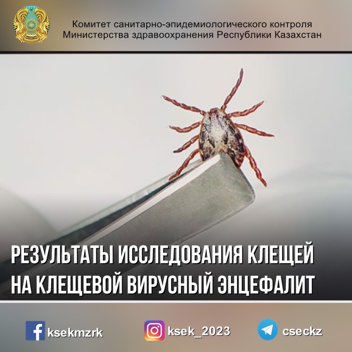 Клещевой энцефалит план обследования