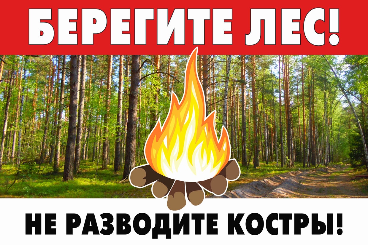 Береги лес проект
