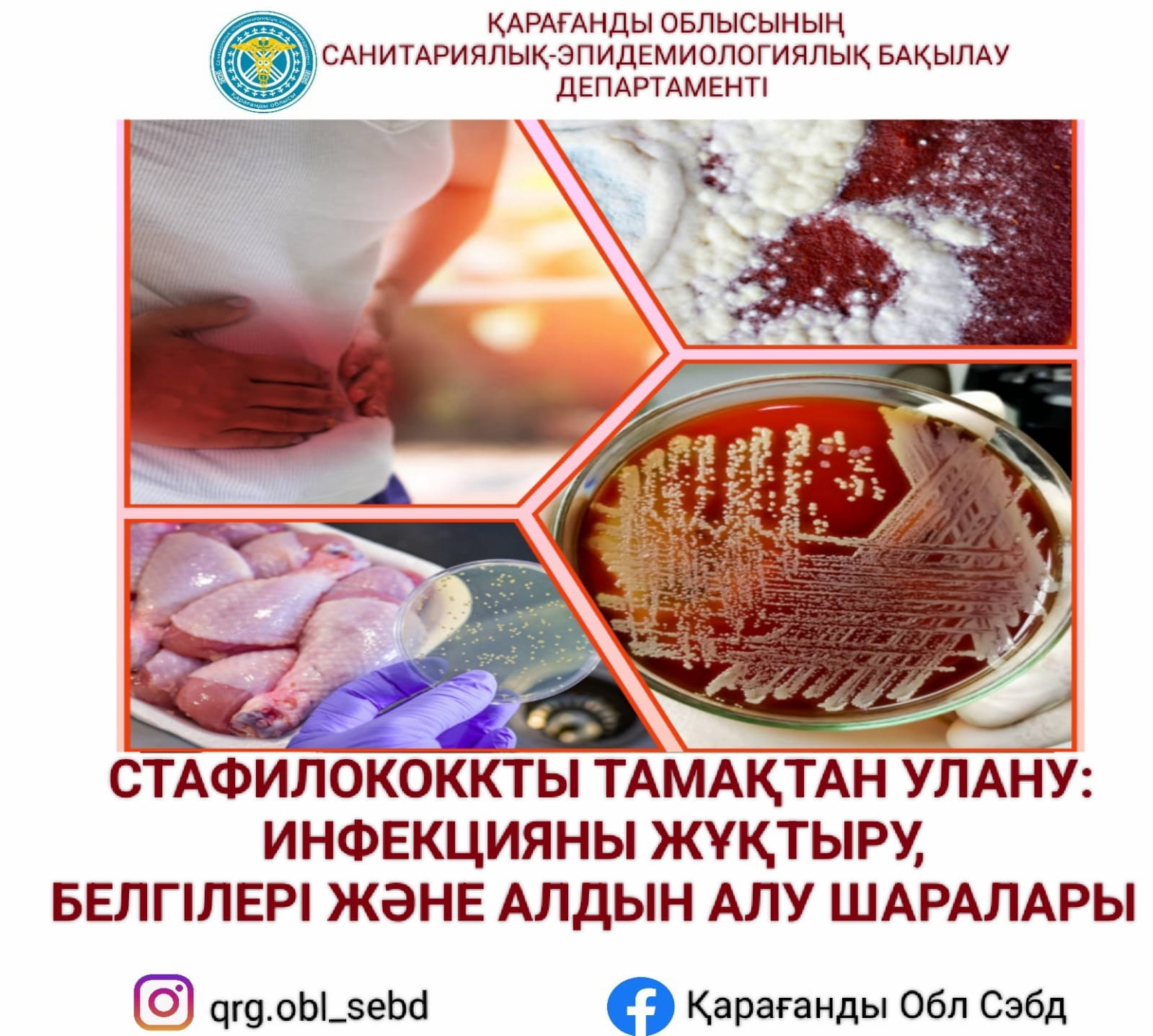 Шәует культурасындағы стафилококктың өсу қарқыны Шәует культурасындағы стафилококктың өсу қарқыны