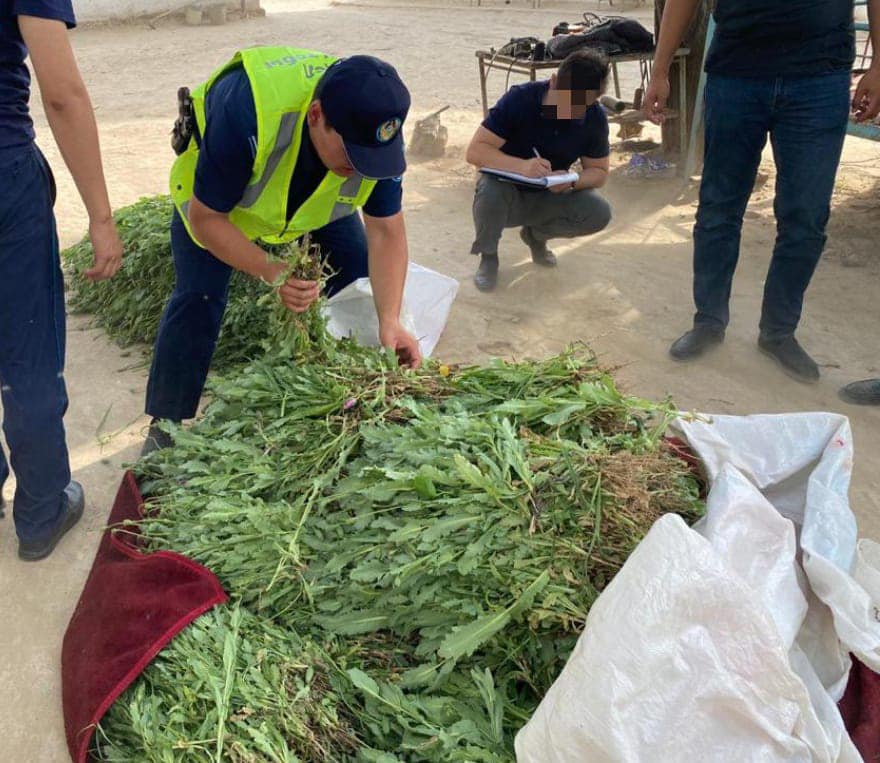 Демотиватор ру секс Тампон ауыстыратын порно видео