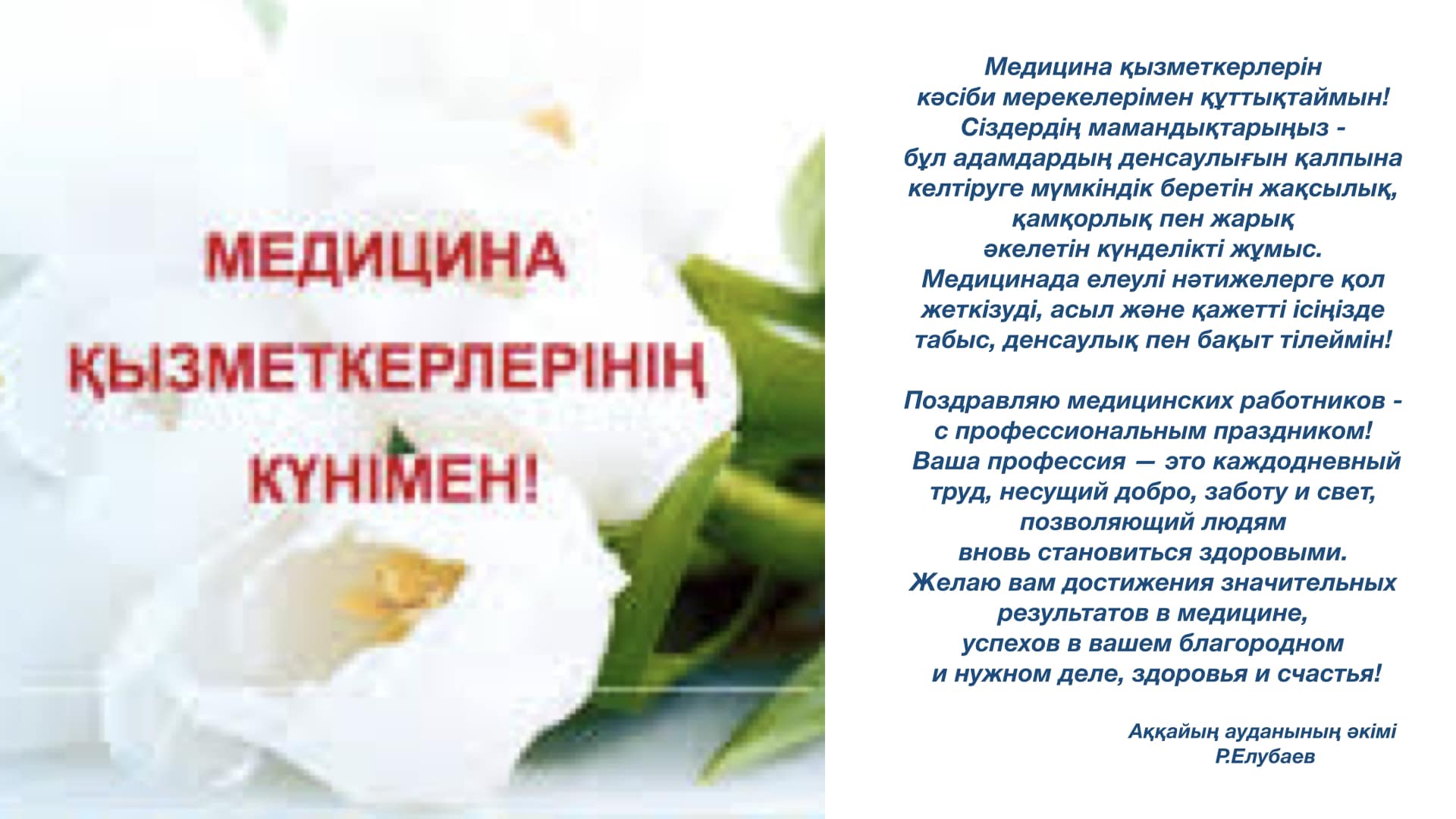 Хатшылар порно онлайн фильм