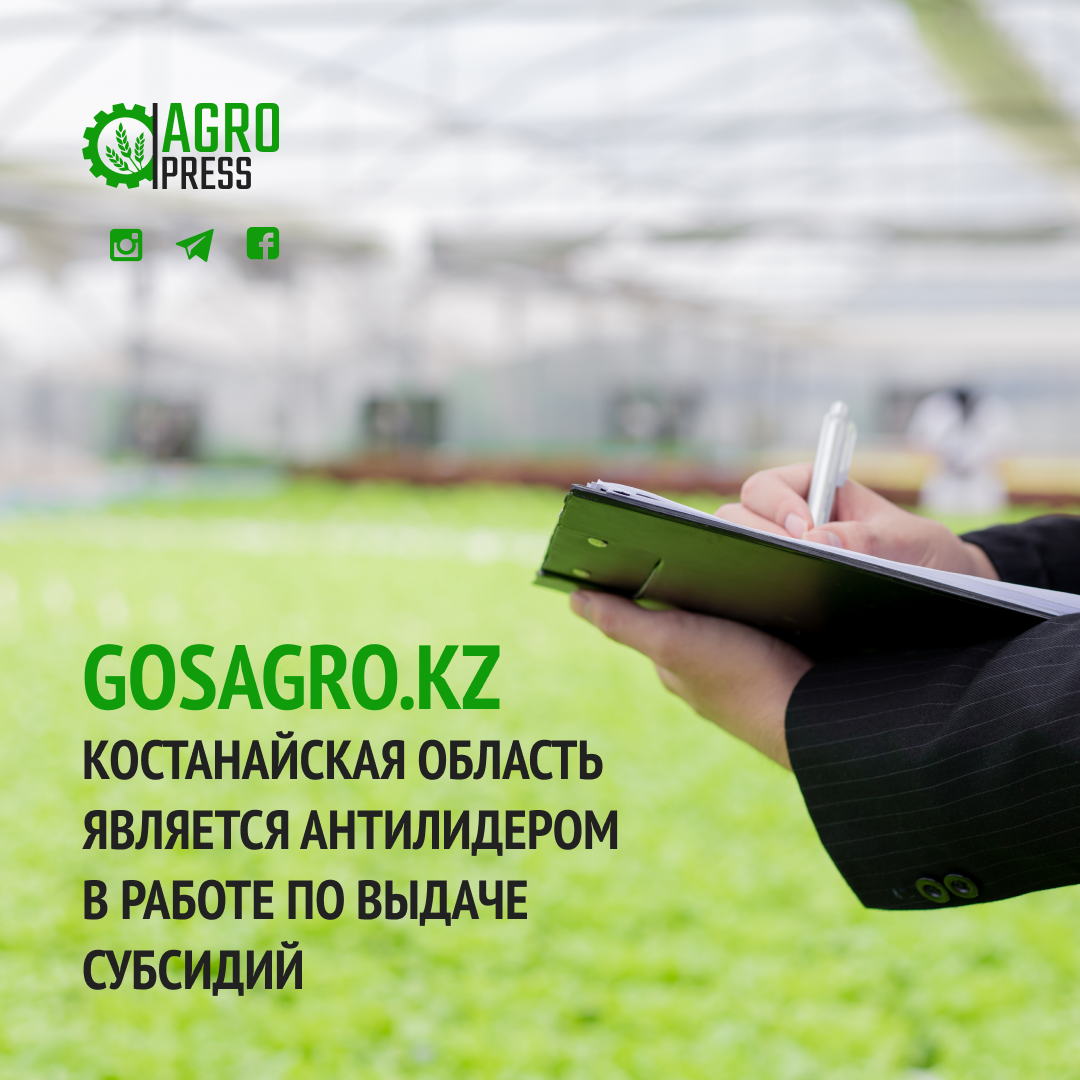 GOSAGRO.KZ: Костанайская область является антилидером в работе по выдаче субсидий