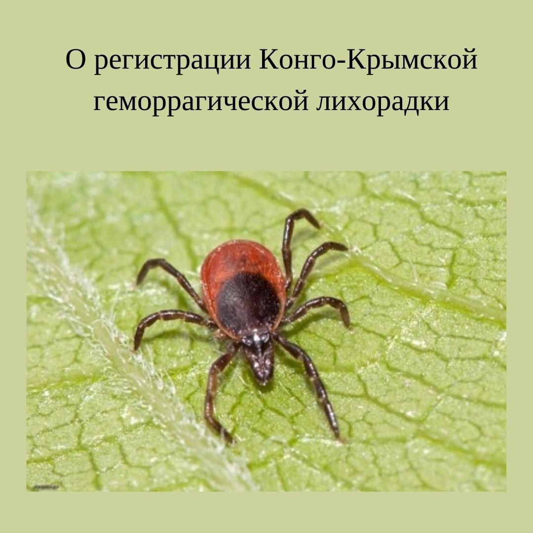 О регистрации Конго-Крымской геморрагической лихорадки
