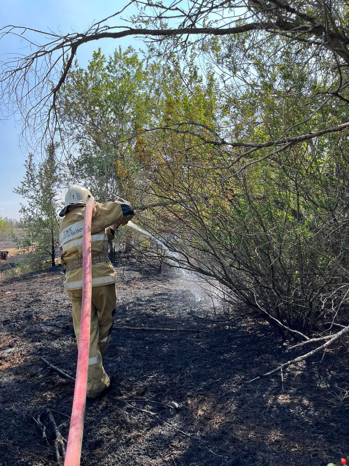 Батыс Қазақстан облысында құрғақ шөптер мен бұталар өртенді
