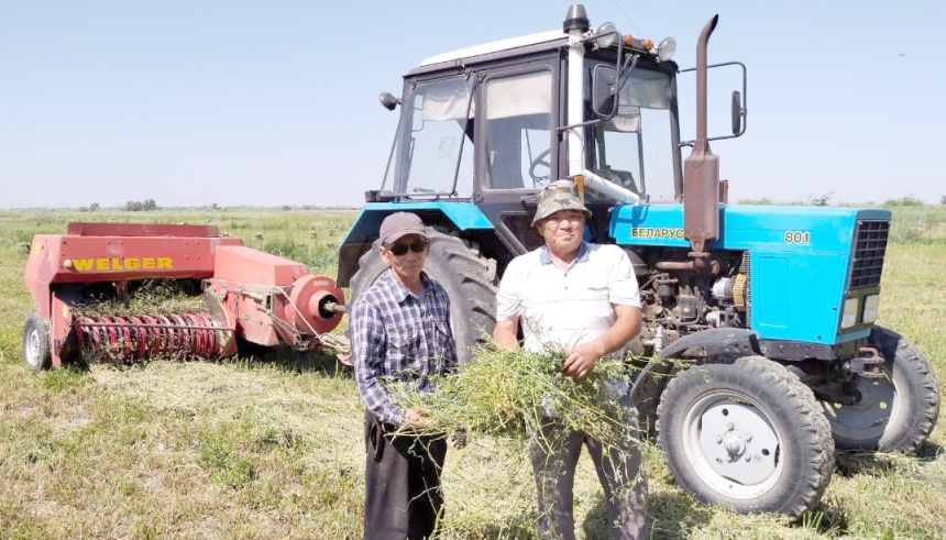 Порнодағы қорқынышты бұрмалаушылықтар