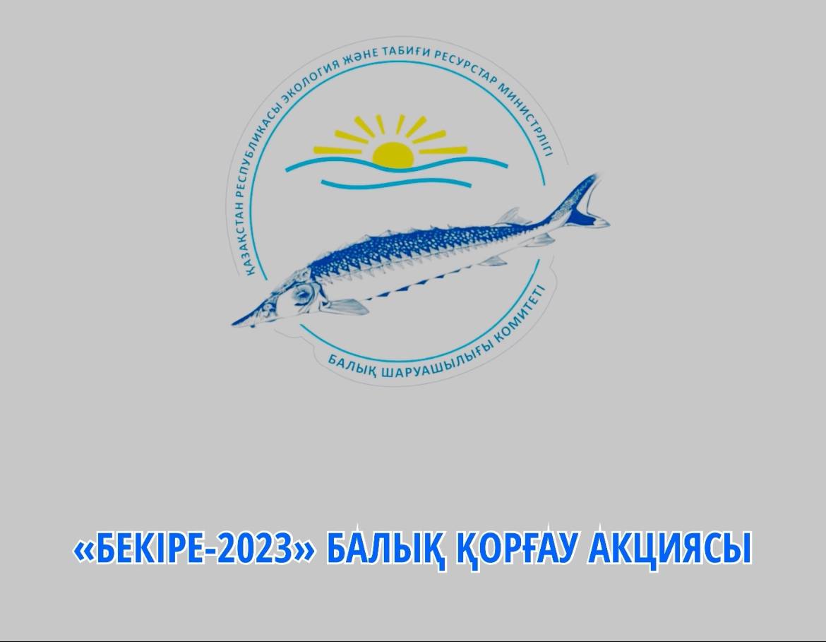 «Бекіре-2023» балық қорғау акциясы