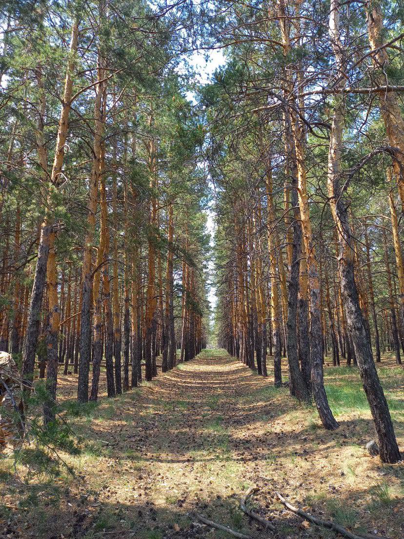 Высокий класс пожарной опасности