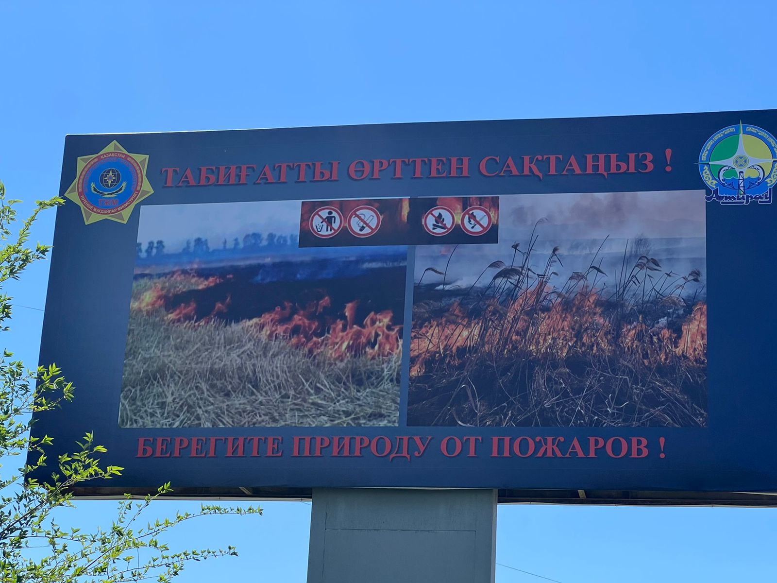 Порно жалған актрисалар