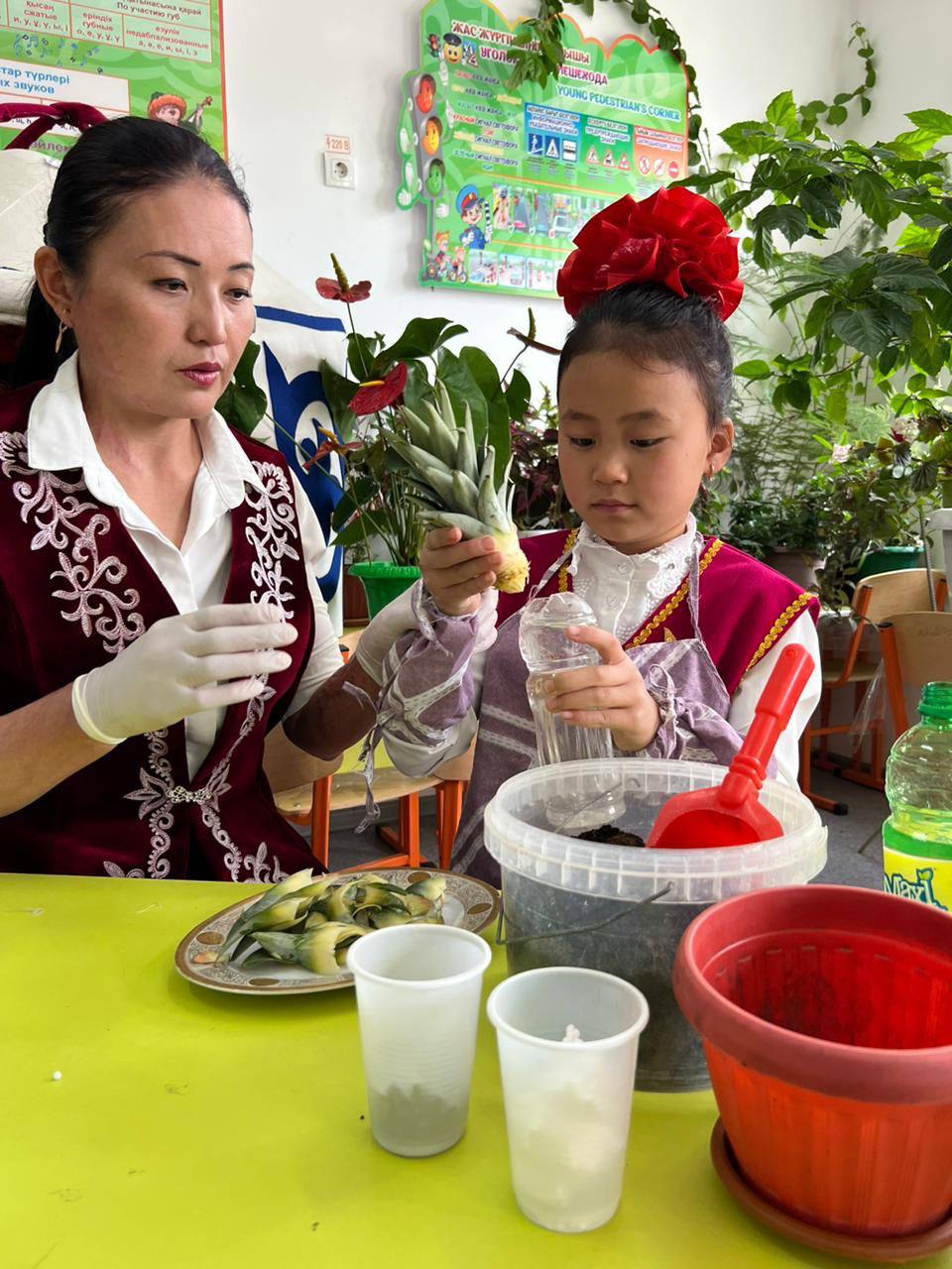 Жамбылский учитель выращивает тропические фрукты в школе