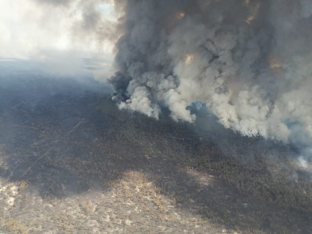 Информация о пожаре в резервате «Семей орманы»