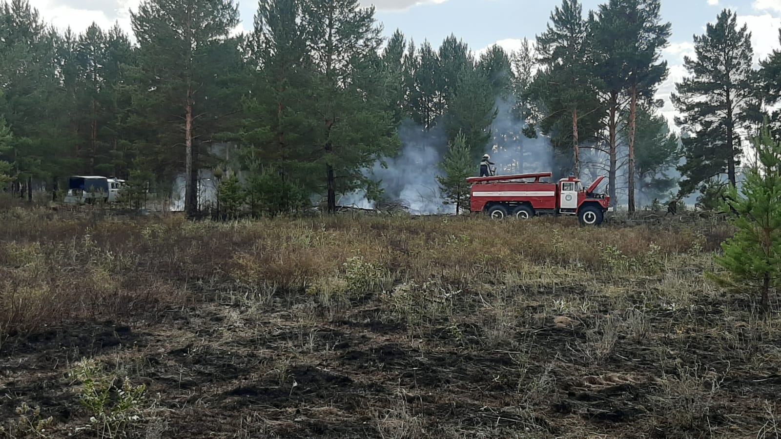 Загорание лесопокрытой зоны произошло в Бескарагайском районе