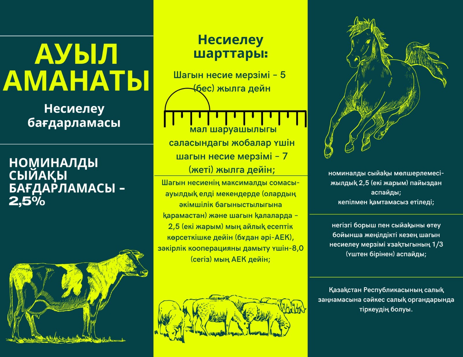 Irrumaciya әуесқойлық бейне