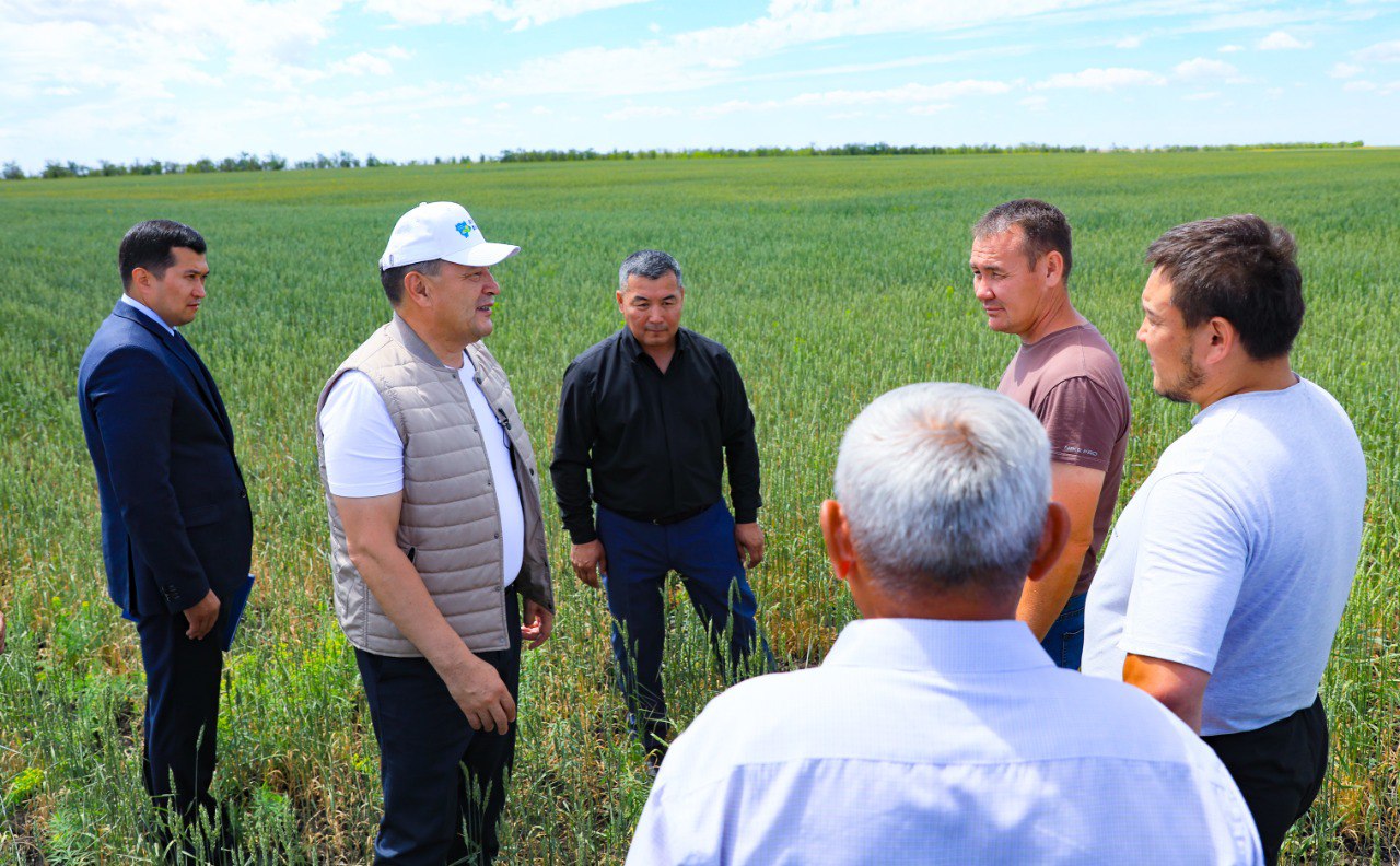 Ақтөбе облысында жылыжай саны артуда