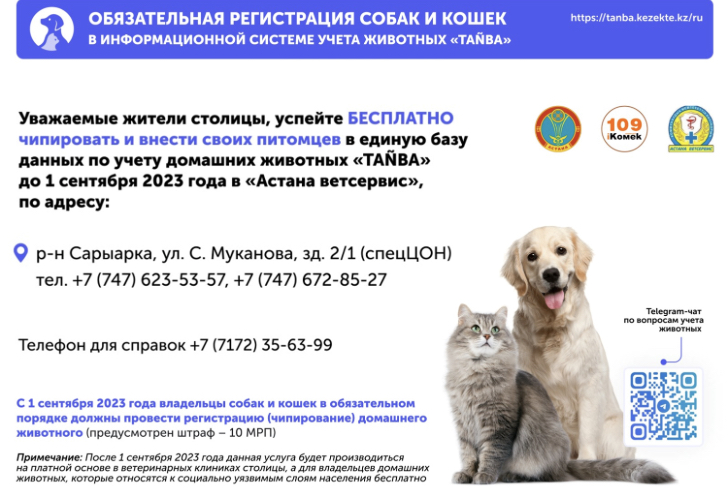Чипирование собак и кошек бесплатно проводят в Астане