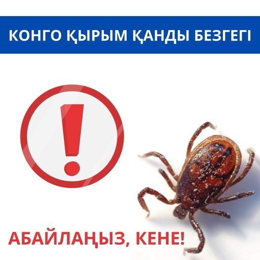 Жетілген татар әйелдерінің порно видеолары