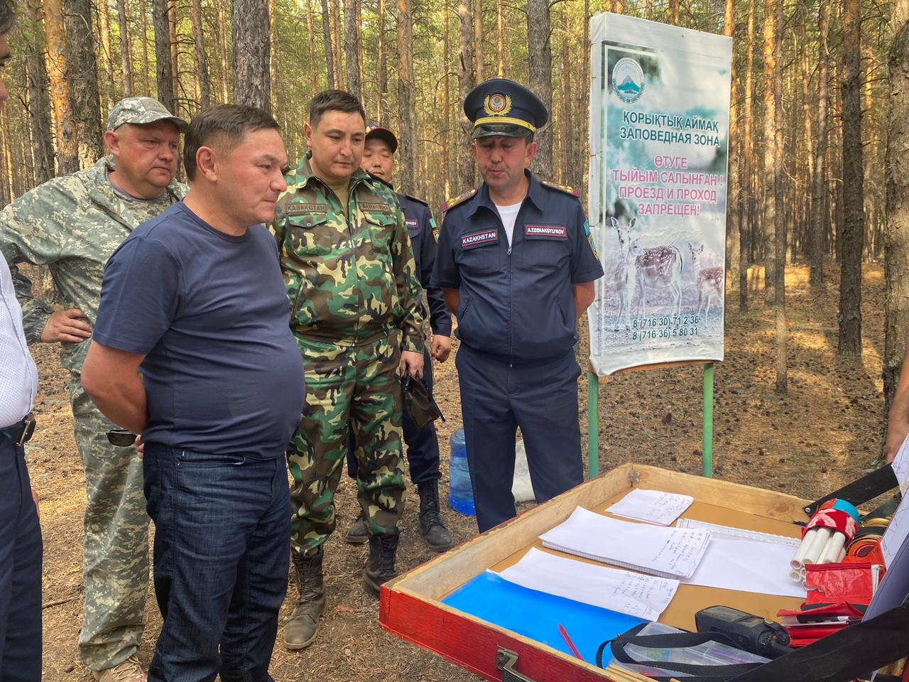 Возгорание лесной подстилки на горе «Кокше» в Бурабайском районе локализовано