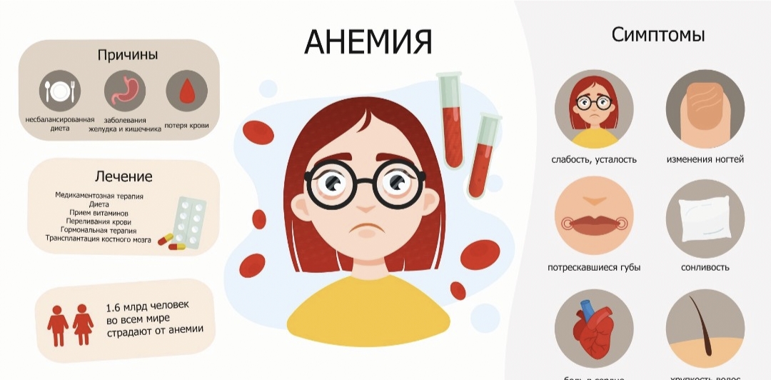 Анемияның алдын алу