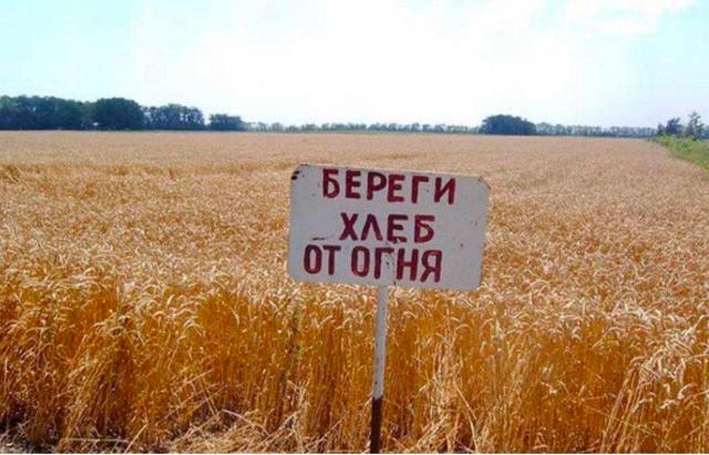 Егін жинау кезіндегі өрт қауіпсіздігі ережелері.