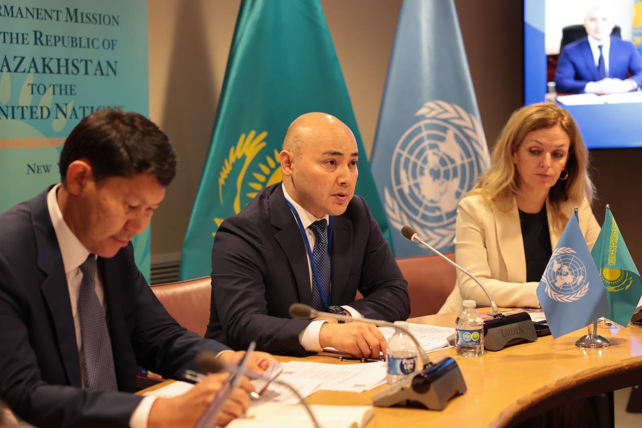 Head of the MNE presented the results of cooperation between Kazakhstan and the UN Development Programme