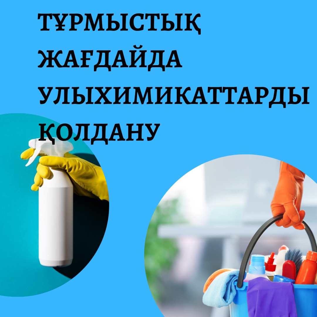 Тұрмыстық жағдайда улыхимикаттарды қолдану