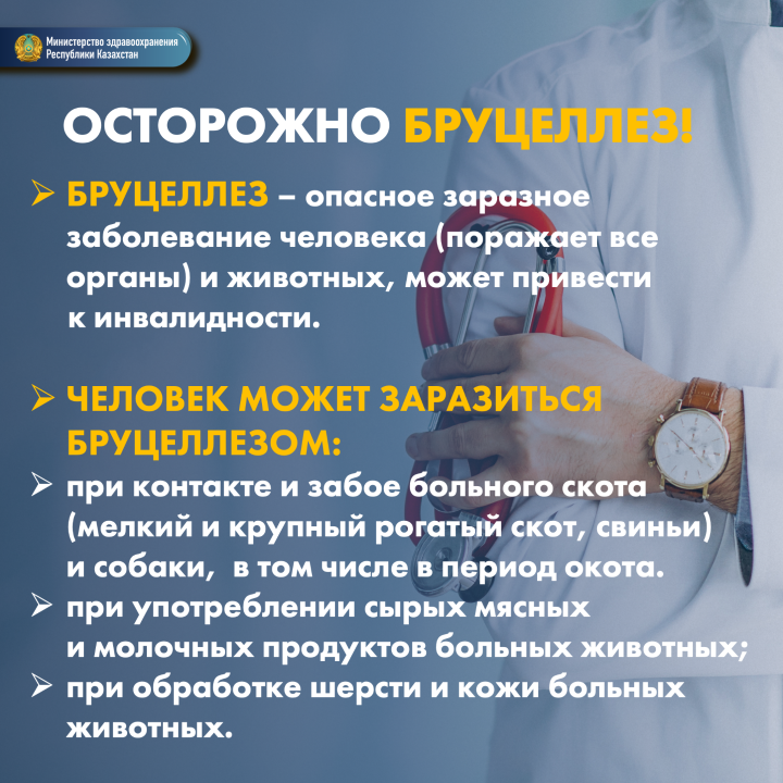 ЧТО ВАЖНО ЗНАТЬ О БРУЦЕЛЛЕЗЕ