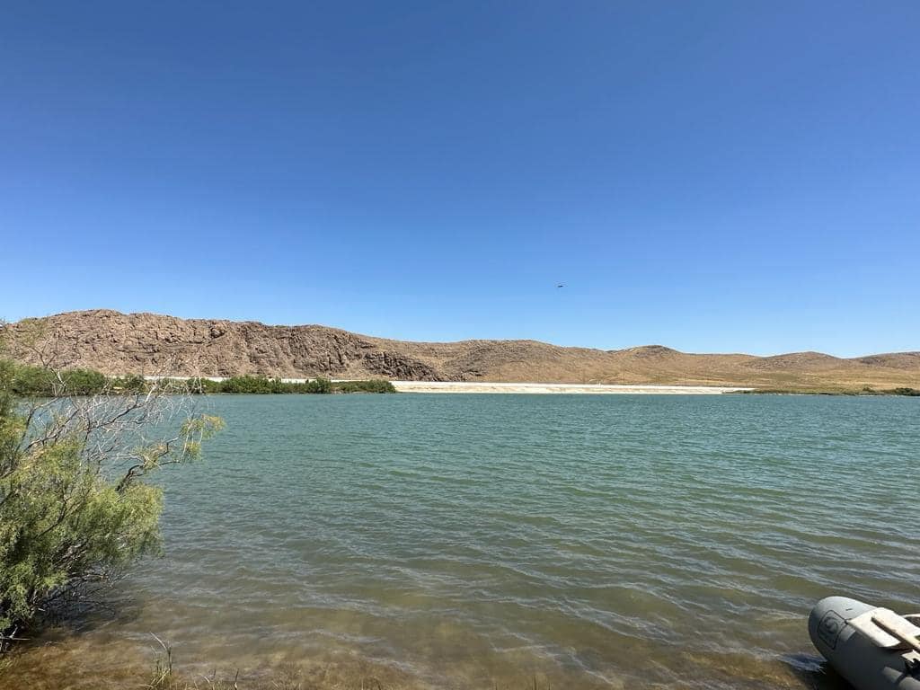 ТҮРКІСТАН: СОЗАҚТАҒЫ ШАРУАШЫЛЫҚ БИЫЛ 180 ТОННА КӨЛЕМІНДЕ БАЛЫҚ ӨНІМІН ШЫҒАРДЫ