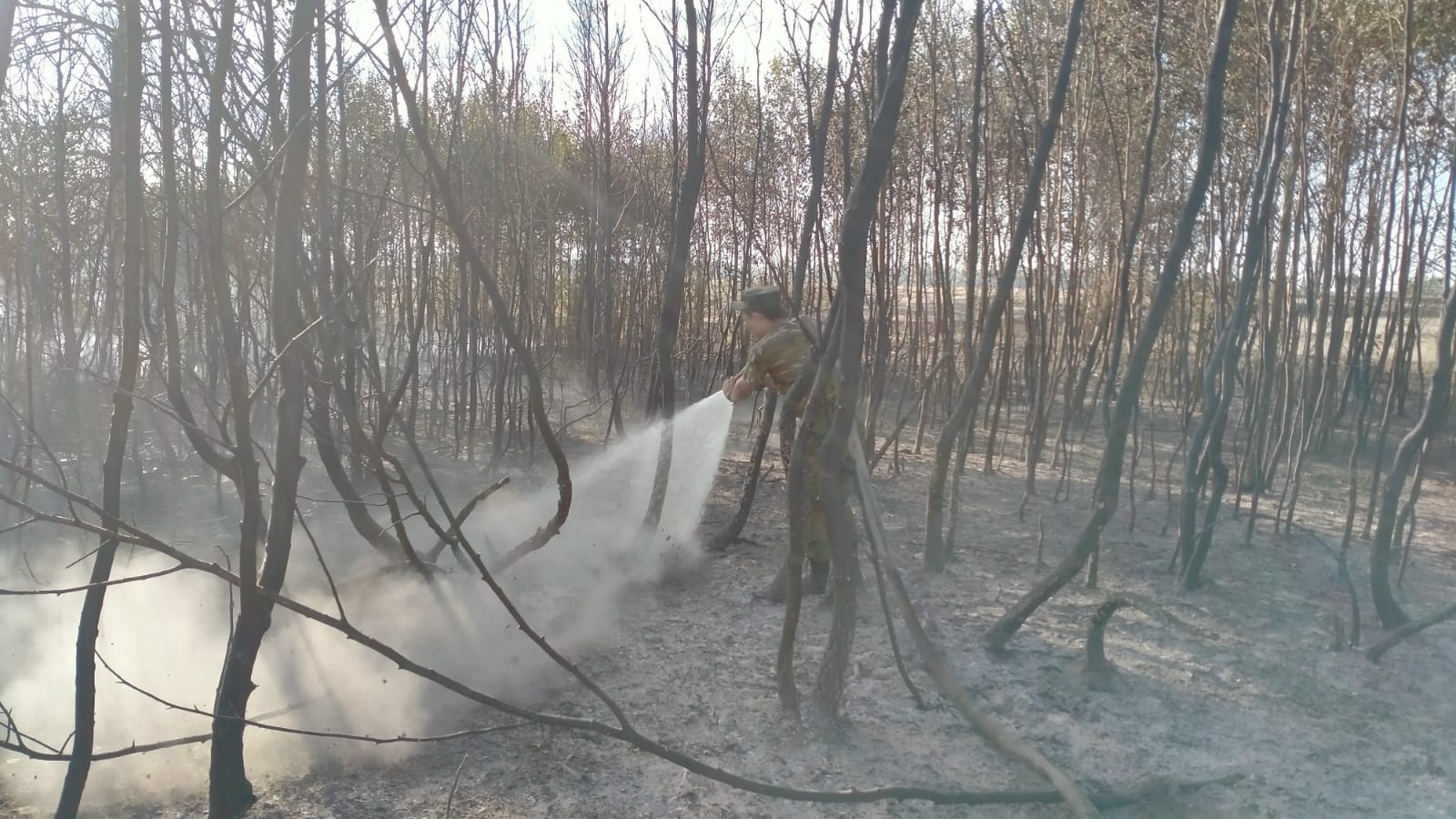 Загорание сухой травы около г. Степногорск локализовано