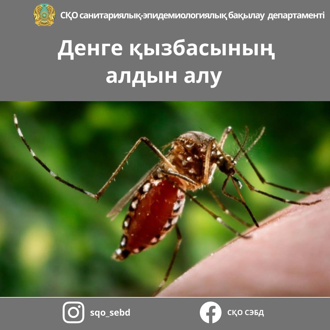 Жігіт анусын созады