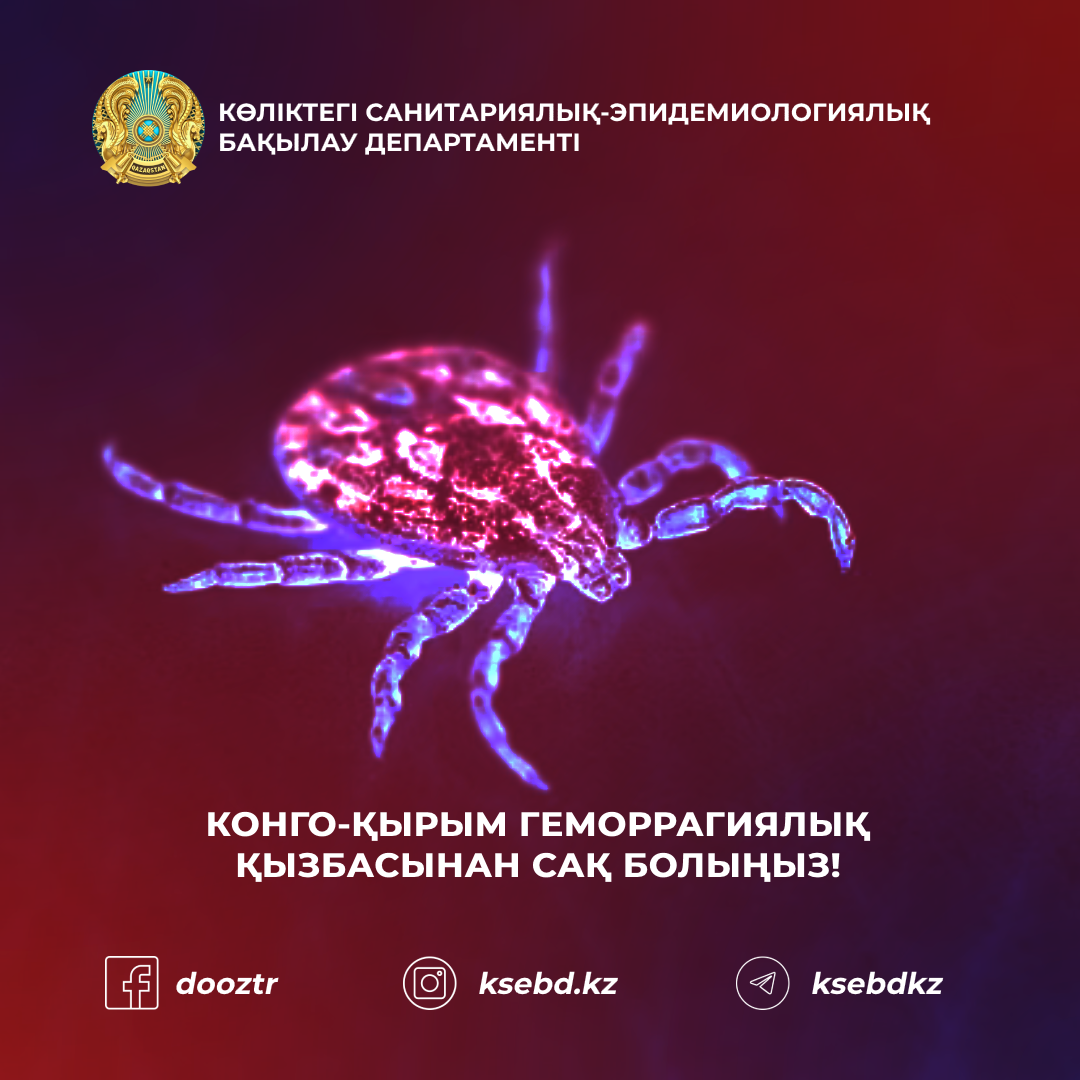 Дик соратын ескі ханымдар