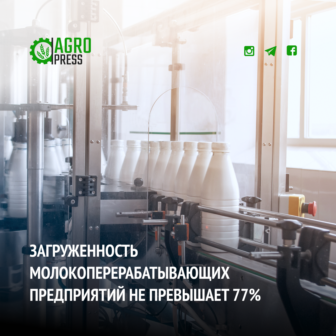 Загруженность молокоперерабатывающих предприятий не превышает 77%