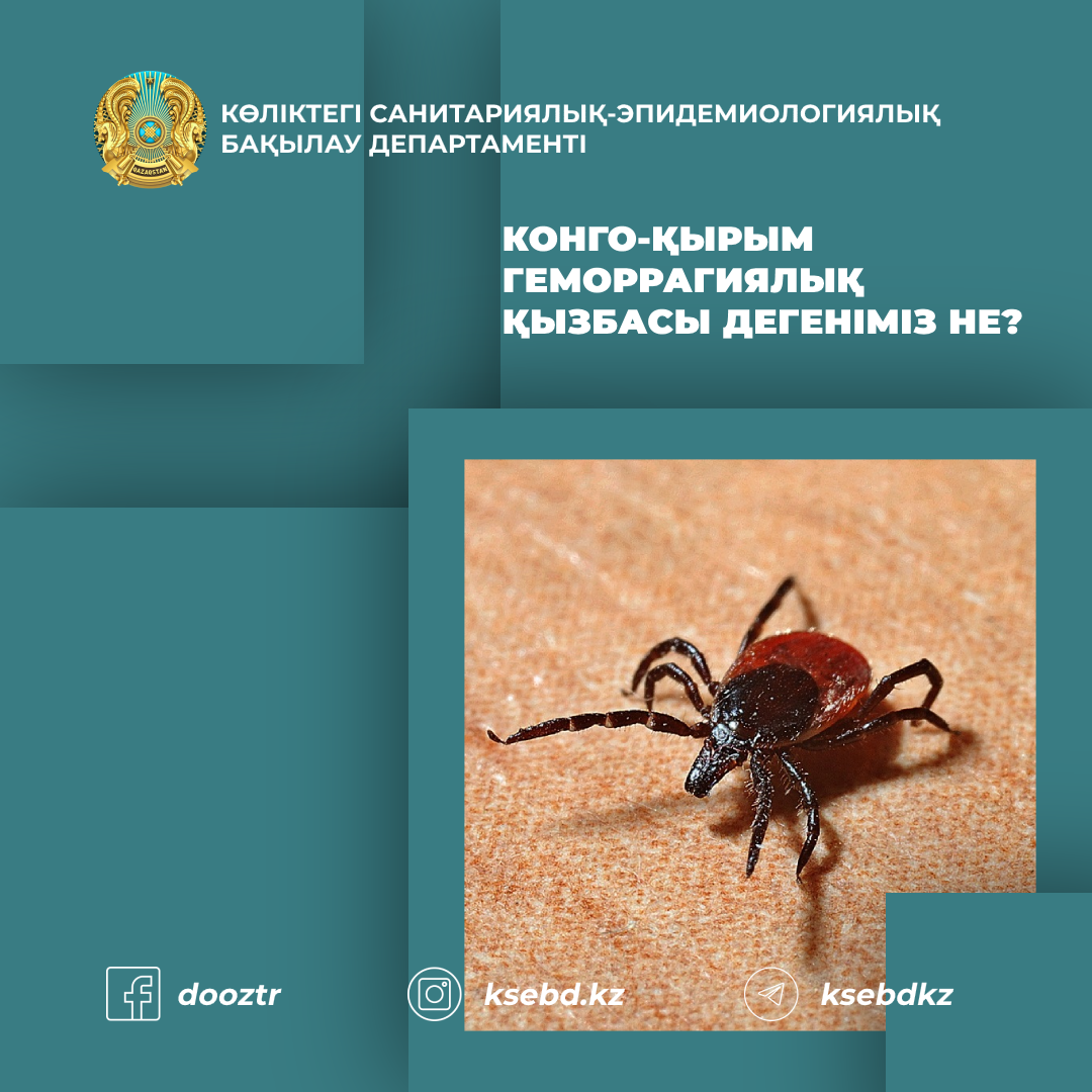 Мен Новороссийскіден ақша табу үшін бойдақ әйел іздеймін. Балапанды көлікте вафлилеу (орыс порно)