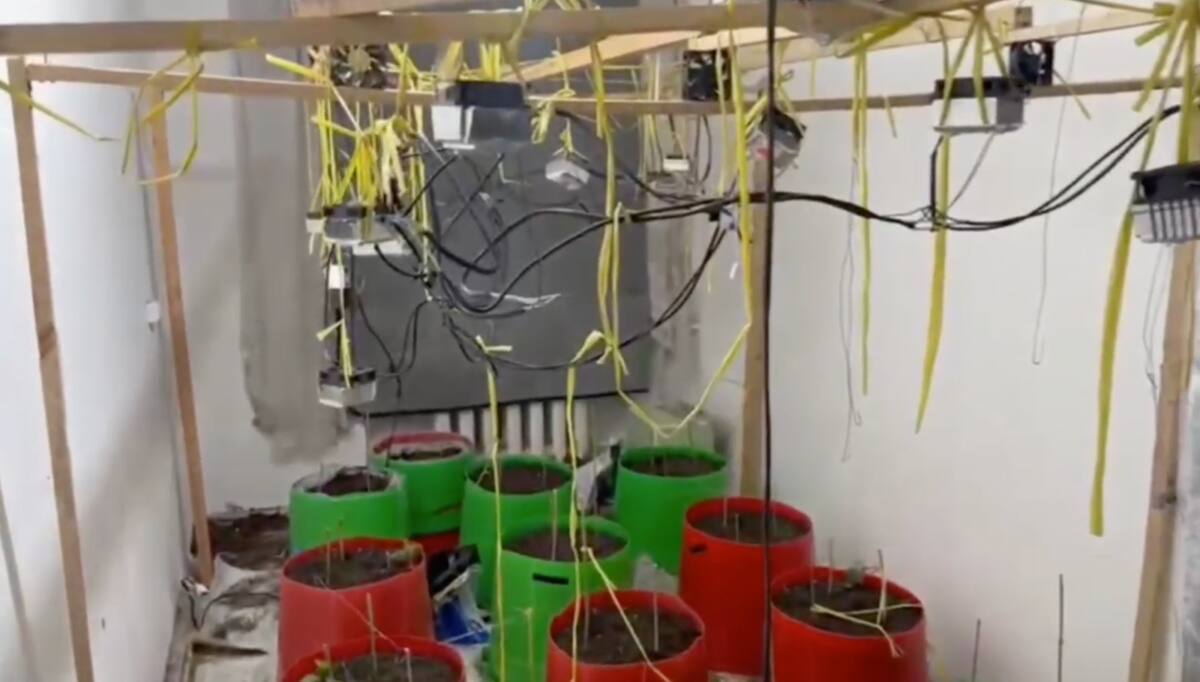 Түркістан облысында бір тәулікте 2 есірткі егу дерегі анықталды