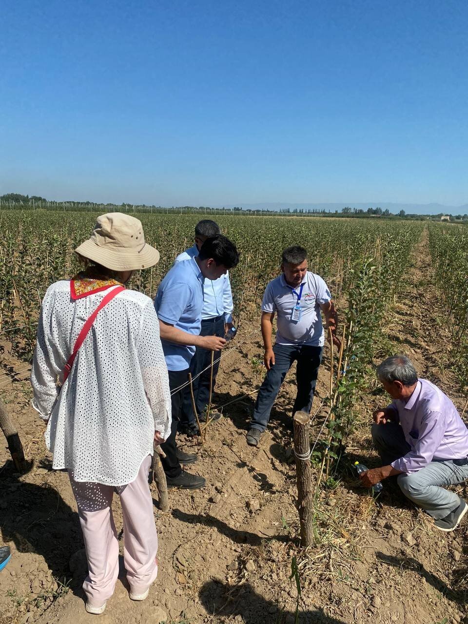 Әбілхайыр Тамабек питомник шаруашылығын дамыту мәселелерін талқылауға қатысты