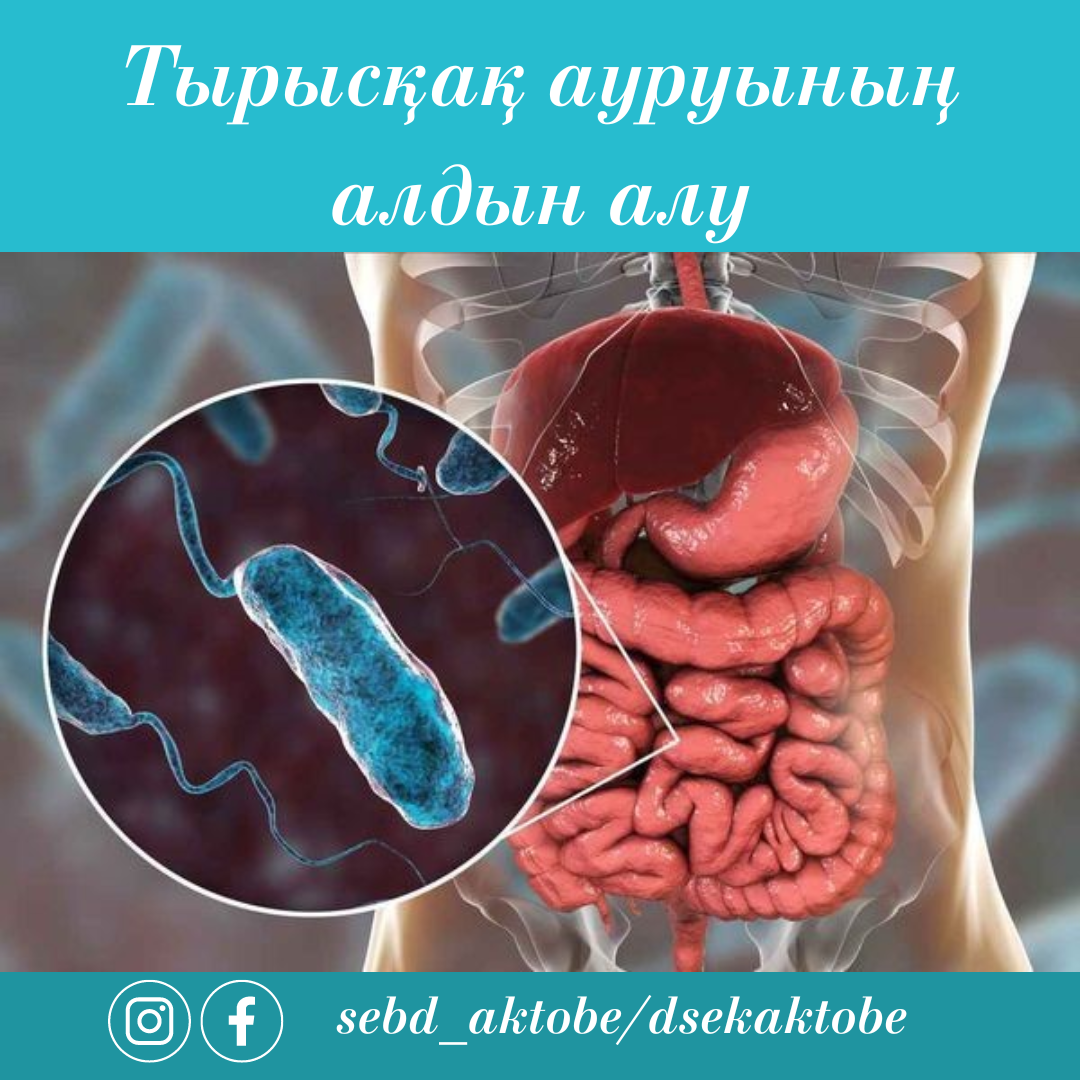 Қыздық жоғалтқан порно онлайн көру