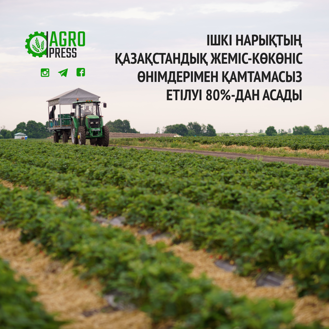 Ішкі нарықтың қазақстандық жеміс-көкөніс өнімдерімен қамтамасыз етілуі 80%-дан асады