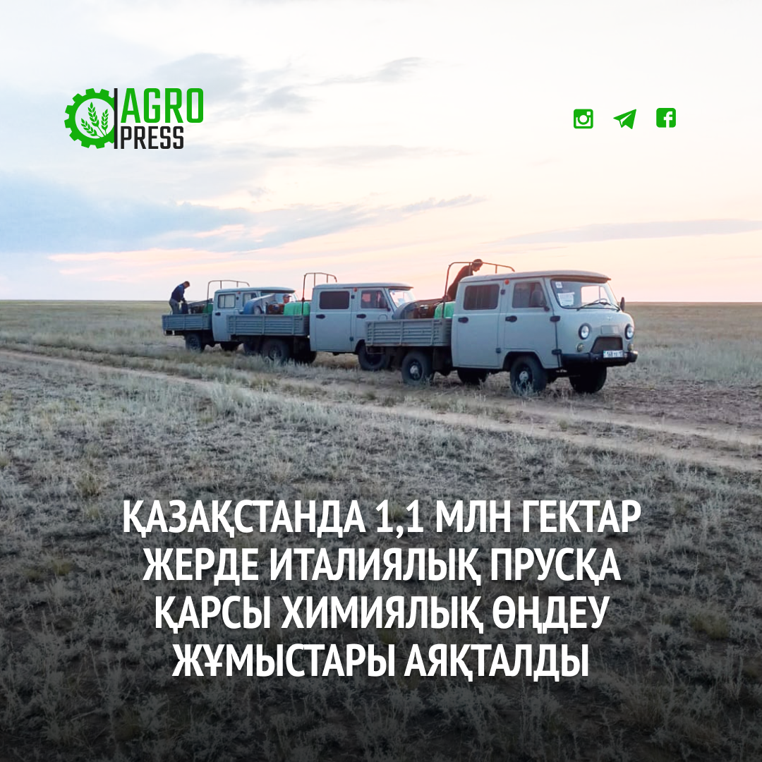 Қазақстанда 1,1 млн гектар жерде италиялық прусқа қарсы химиялық өңдеу жұмыстары аяқталды