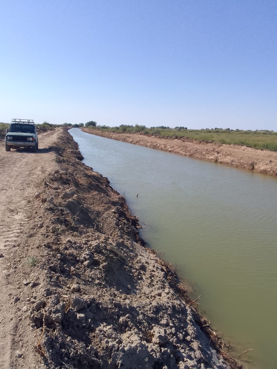 Ересек әйелдің анусын жалау