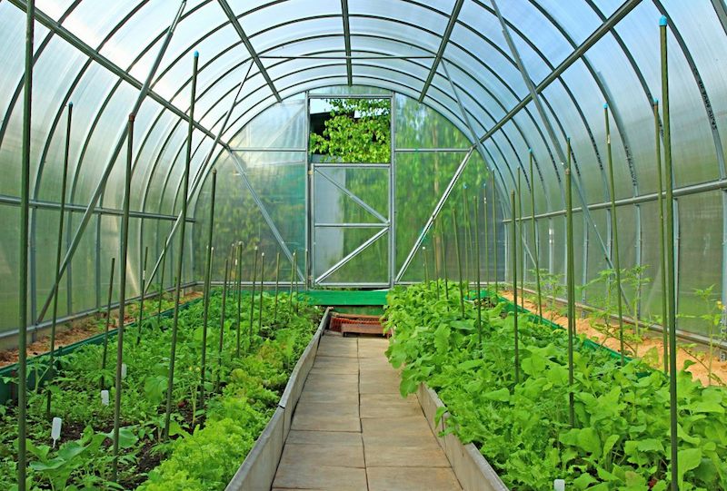 The first accreditation of the inspection body of farm greenhouses took place in Kazakhstan