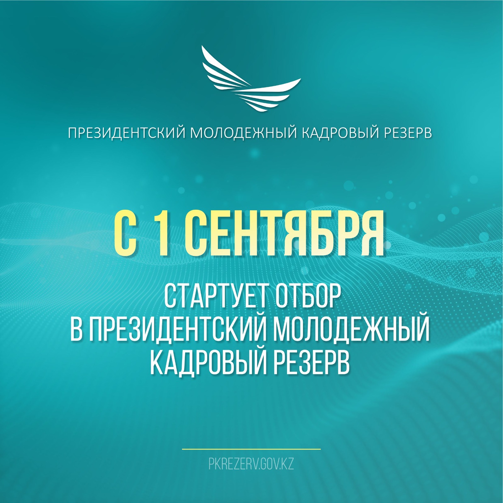 Президентский молодежный кадровый резерв:  Как подать заявку для участия?
