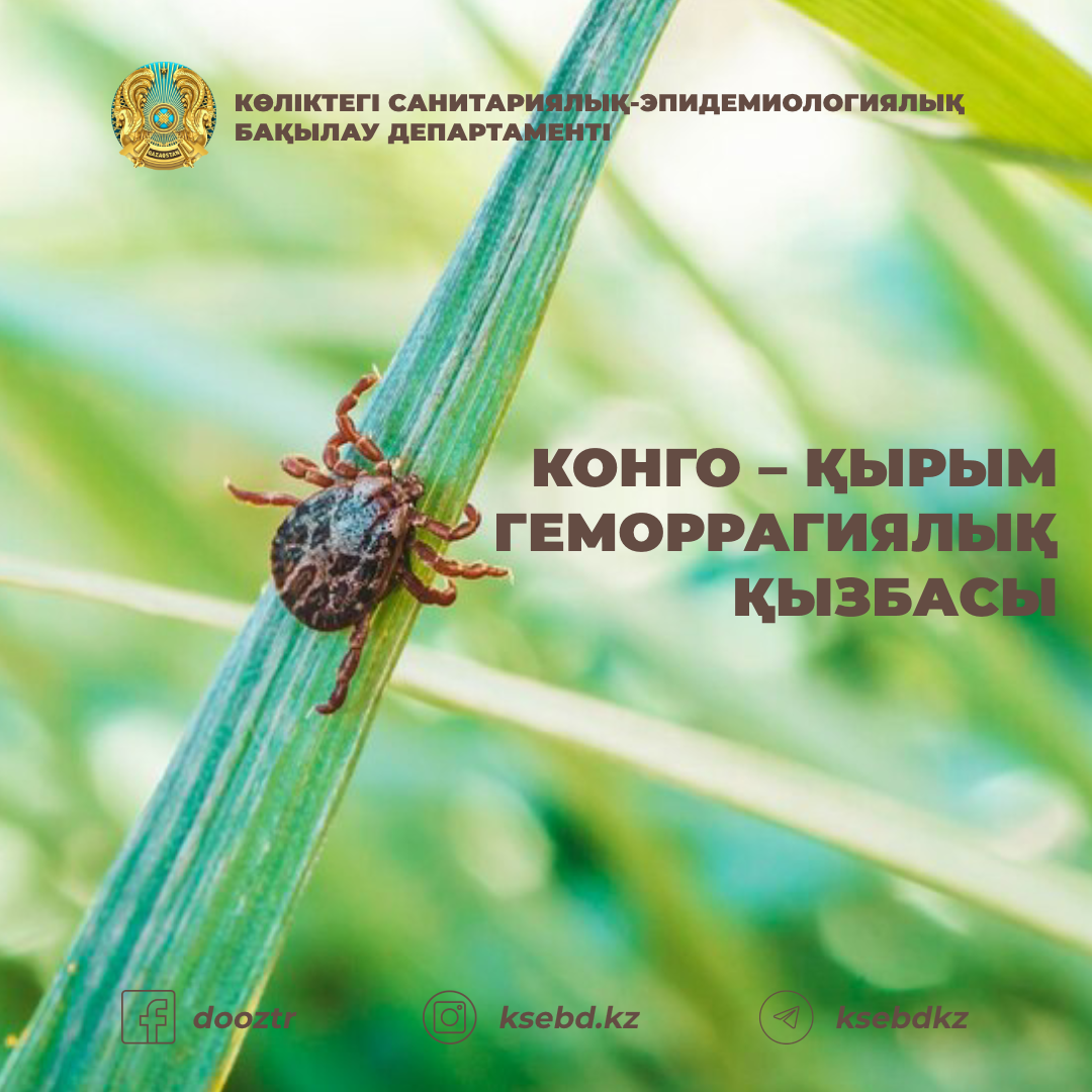 Порно, ұлым, есегіңе кірме. Жыныс мүшесін сипау (ақ-қара фото)