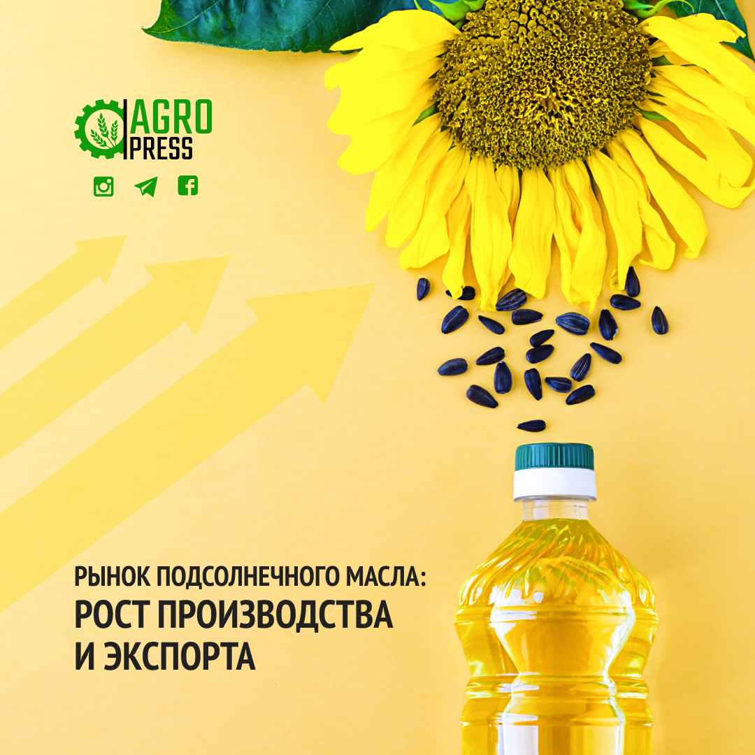 Рынок подсолнечного масла: Рост производства и экспорта