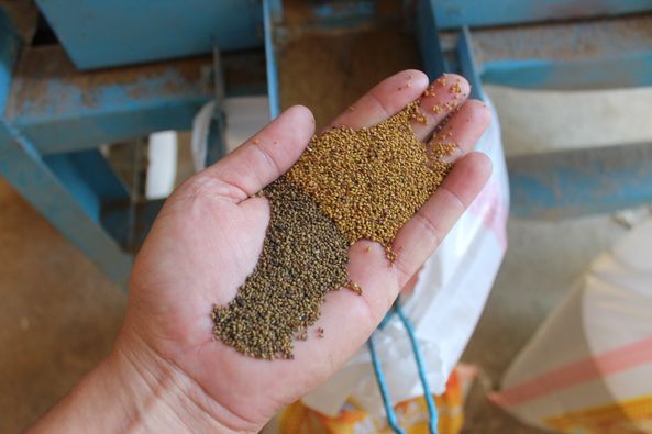 Жеке порно мені дәретханаға жібермеді