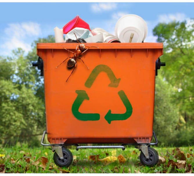 Жыныстық қатынас кезінде бөлінетін сұйықтық