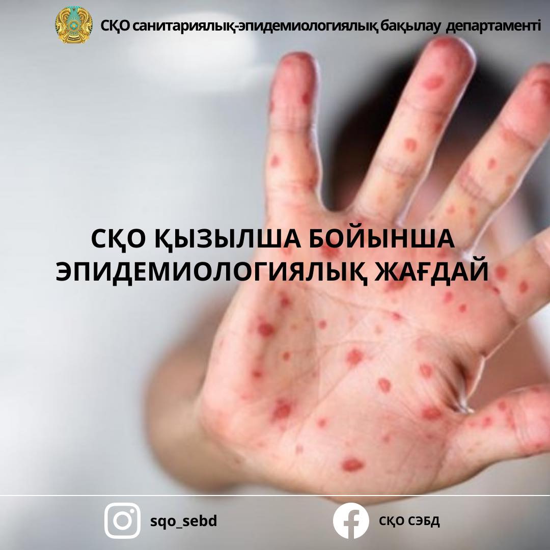 Порно видео