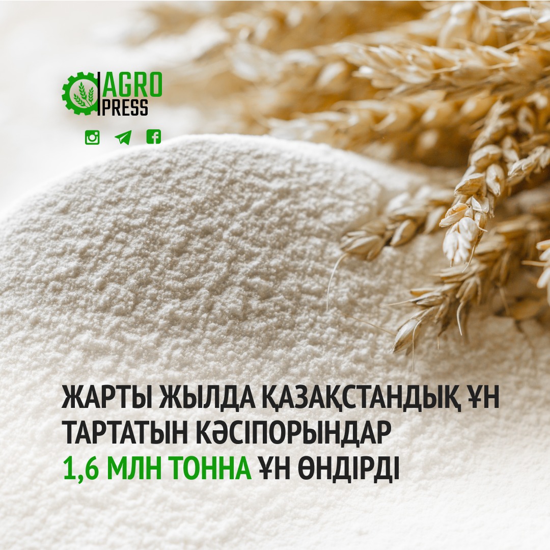 Белая пшеница. Мука пшеничная Увелка высший сорт 2 кг. Пшеница мука. Сорта ржаной муки. Стол с мукой фон.